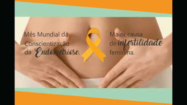 Tudo Sobre Endometriose Clinifert Clinifert