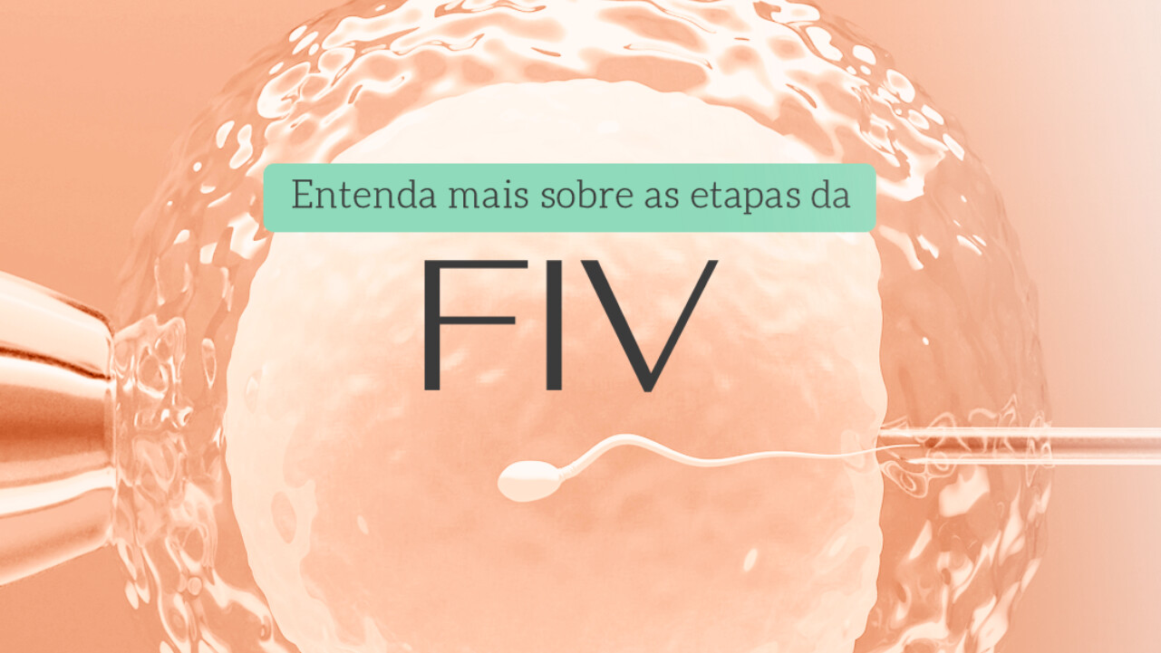 Entenda mais sobre as etapas da FIV - Clinifert- Clinica Reprodução Assistida - Florianopolis