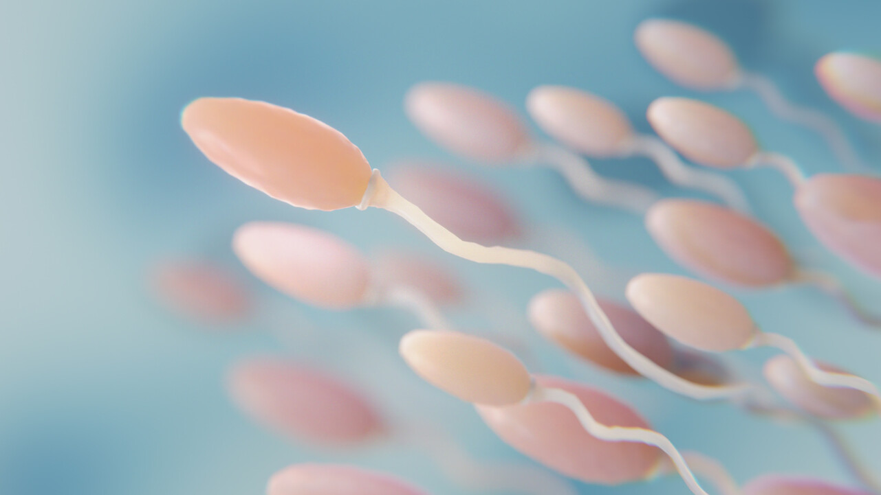 Nenhum espermatozoide encontrado. Isso se chama azoospermia. - Clinifert Clinica de Reprodução Humana