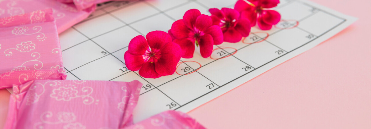 Congelar óvulos interfere no ciclo menstrual ou na reserva ovariana? Entenda por que o procedimento é seguro e não antecipa a menopausa.