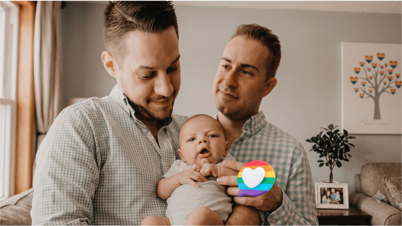 casais homoafetivos - reprodução humana florianópolis