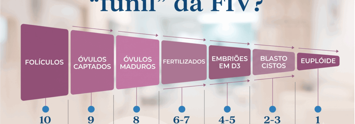 funil da fiv clinica de reprodução humana Florianópolis